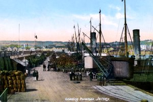 Patates Yükleme, Jersey, 1908 by Unbekannt