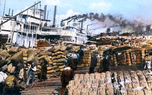 Bir gemiye pamuk yükleme, Memphis, Tennessee, ABD, c1900s by Unbekannt