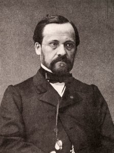 Louis Pasteur, Fransız mikrobiyolog ve kimyager, 19. yüzyıl by Unbekannt