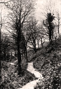 Aşıklar Yolu, Fairlight, Hastings, Sussex by Unbekannt