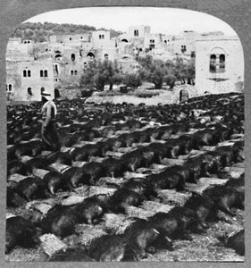 Şarap şişeleri yapmak, Hebron, c1900 by Unbekannt