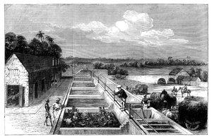 Tirhoot Muzaffarpur