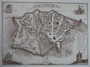 18. yüzyılın başlarında Poltava Haritası by Unbekannt