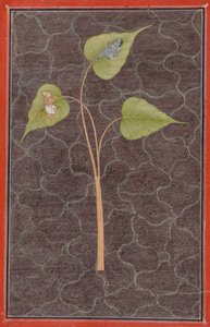 Markandeya Kozmik Okyanusta Krishna