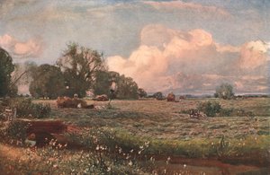 Çayır Tatlıları, 1893, c1902. by Unbekannt