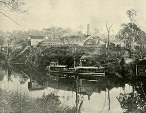 Grafton yakınlarındaki Et İşleri, Yeni Güney Galler, 1901. by Unbekannt