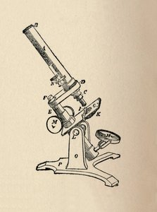 Mikroskop, 1912 by Unbekannt