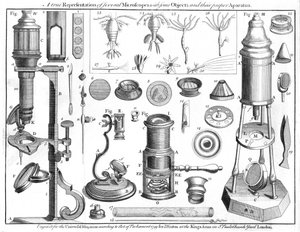 Mikroskoplar ve mikroskobik nesneler, 1750 by Unbekannt