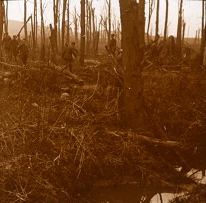 Kemmel Dağı, Flanders, Belçika, c1914-c1918 by Unbekannt