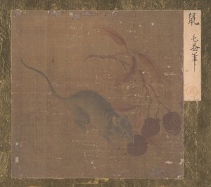 Lychee Meyve Yiyen Fare. by Unbekannt