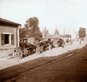 Malzemeleri olan katır vagonları, Verdun, kuzey Fransa, c1914-c1918 by Unbekannt