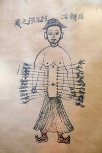 Geleneksel Vietnam Tıbbı Müzesi, Kanallar ve damarlar, Akupunktur Kitabı, Ho Chi Minh Şehri, Vietnam by Unbekannt