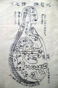 Geleneksel Vietnam Tıbbı Müzesi, Kanallar ve damarlar, Akupunktur Kitabı, Ho Chi Minh Şehri, Vietnam by Unbekannt