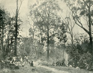 Yerli Sporlar, Lake Tyers, 1901. by Unbekannt