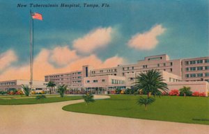 Yeni Tüberküloz Hastanesi, Tampa, Fla., c1940s by Unbekannt