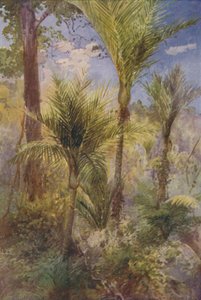 Yeni Zelanda Ormanı, 1924 by Unbekannt