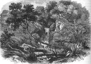 Yeni Zelanda Manzarası, c1880 by Unbekannt