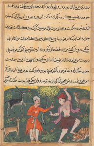 Bir Papağan Masalları Tuti-nama