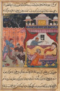 Bir Papağan Masalları Tuti-nama