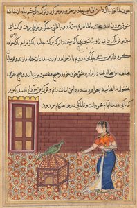 Bir Papağan Masallarından Sayfa Tuti-nama: Elli birinci gece: Papağan Khujasta'ya hitap ediyor..., c. 156 by Unbekannt