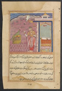 Bir Papağan Masallarından Sayfa Tuti-nama: Kırk dördüncü gece: Papağan adresleri..., c. 1560. by Unbekannt