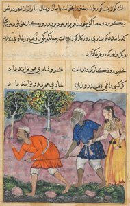 Bir Papağan Tuti-nama Masalları