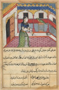 Bir Papağan Masallarından Sayfa Tuti-nama: Kırk ikinci gece: Papağan adresleri..., c. 1560. by Unbekannt