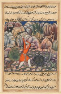 Bir Papağan Masalları Tuti-nama