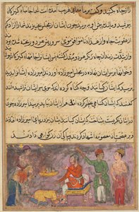 Bir Papağan Masalları Tuti-nama