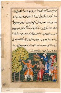 Bir Papağan Masallarından Sayfa Tuti-nama: Dokuzuncu gece: Kral, Ağaçtan meyve koparır..., c. 156 by Unbekannt