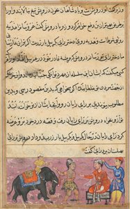 Bir Papağan Masalları Tuti-nama