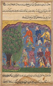 Bir Papağan Masalları Tuti-nama