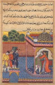 Bir Papağan Masalları Tuti-nama