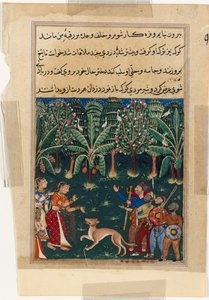 Bir Papağan Masalları Tuti-nama
