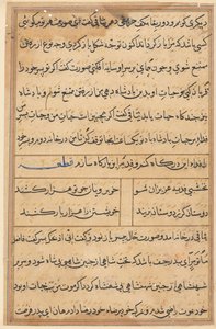 Bir Papağan Tuti-nama Masallarından sayfa: metin sayfası, c. 1560. by Unbekannt