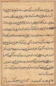 Bir Papağan Tuti-nama Masallarından bir sayfa: metin sayfası, yaklaşık 1560. by Unbekannt