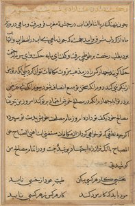 Bir Papağan Tuti-nama Masallarından sayfa: metin sayfası, c. 1560. by Unbekannt