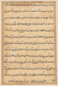 Bir Papağan Tuti-nama Masallarından sayfa: metin sayfası, c. 1560. by Unbekannt