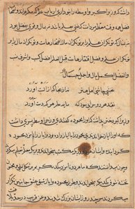 Bir Papağan Tuti-nama Masallarından sayfa: metin sayfası, c. 1560. by Unbekannt