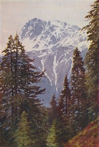 Himalayalar
