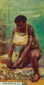 İnciler 1. Yerli Dalgıç İş Başında, Seylan, 1928 by Unbekannt
