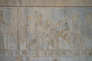Persepolis, İran (fotoğraf) by Unbekannt