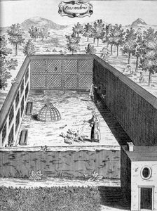 Sülün, 1775 by Unbekannt