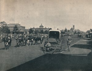 Pietermaritzburg, c1900. by Unbekannt
