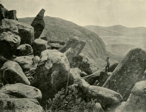 Pinnacle & Organ Pipes, Wellington Dağı, 1901. by Unbekannt