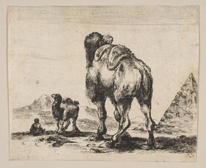 Levha 18: 1641