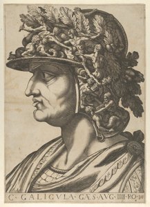 Levha 4: Profilde sola bakan Caius, 