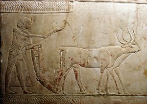 18. Hanedan, MÖ 1332-1323 Mısır Stelinden Çiftlik Sürmek by Unbekannt