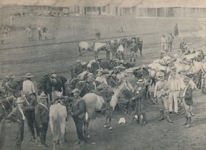 Tesisatçılar Atı, c1900. by Unbekannt