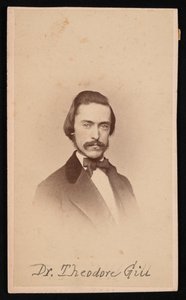 Theodore Nicholas Gill